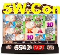 5542 bet